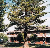 Eastern Beach Holiday Units - Tourism Adelaide