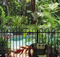 Daintree Rainforest Retreat Motel - Tourism Adelaide