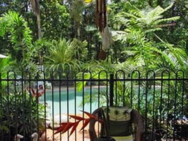 Daintree Rainforest Retreat Motel - Tourism Adelaide 0