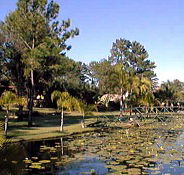 Twin Lakes Hotel - Tourism Adelaide
