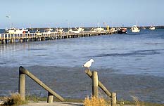 Port Macdonnell SA Tourism Adelaide