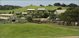 Cape Schanck VIC Tourism Adelaide