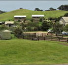 Ace Hi Riding Ranch - Tourism Adelaide