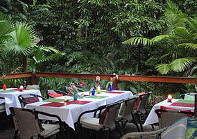 Daintree Rainforest Retreat Motel - Tourism Adelaide 1