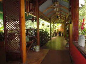 Daintree Rainforest Retreat Motel - Tourism Adelaide 2