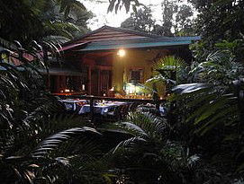 Daintree Rainforest Retreat Motel - Tourism Adelaide 4