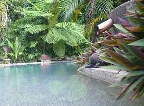 Daintree Rainforest Retreat Motel - Tourism Adelaide 5
