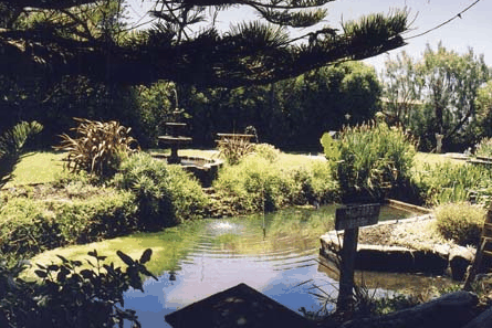 Bayside Gardens - Tourism Adelaide