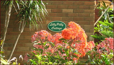 North Balgowlah NSW Tourism Adelaide