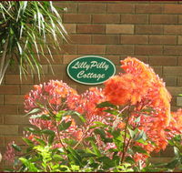 Lillypilly - Tourism Adelaide