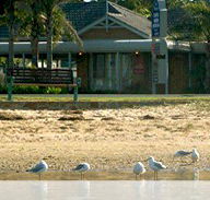 Best Western Coastal Waters Motor Inn - Tourism Adelaide
