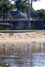 Best Western Coastal Waters Motor Inn - Tourism Adelaide 2