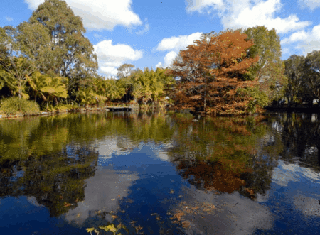 BIG4 Maroochy Palms Holiday Village - Tourism Adelaide 2