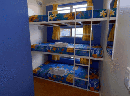 BIG4 Maroochy Palms Holiday Village - Tourism Adelaide 3