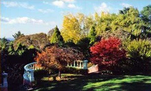 Bed And Breakfast Hovea WA Tourism Adelaide
