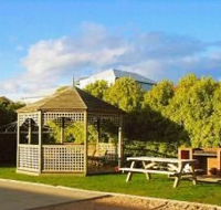Pelican at Lakes Motel - Tourism Adelaide