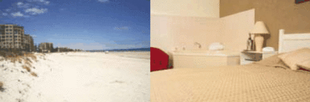 Buffalo Motor Inn - Tourism Adelaide 4