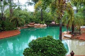 The Lounging Lizard - Tourism Adelaide 1