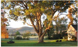 Belltrees Country House - Tourism Adelaide 2