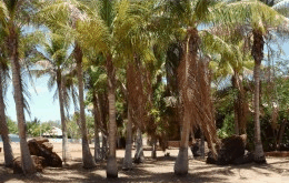 King Sound Resort Hotel - Tourism Adelaide