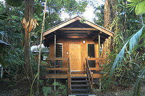 Cape Trib Beach House - Tourism Adelaide 3
