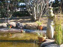 Murray Gardens Motel And Cottages - Tourism Adelaide 2