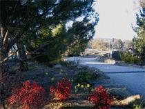 Murray Gardens Motel And Cottages - Tourism Adelaide 3