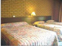 Bega Village Motor Inn - Tourism Adelaide 3