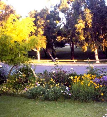 Parkside Bed And Breakfast - Tourism Adelaide 1