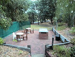 Collie Forest Motel - Tourism Adelaide 4