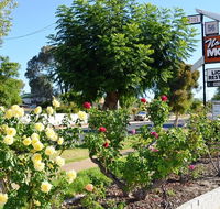 Narrogin Motel - Tourism Adelaide