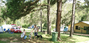 Glass House Mountains Holiday Village - Tourism Adelaide 2