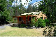 Gellibrand River VIC Tourism Adelaide