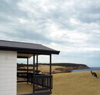 Waves and Wildlife - Tourism Adelaide