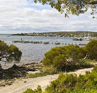 Seagulls Wrest Point - Tourism Adelaide