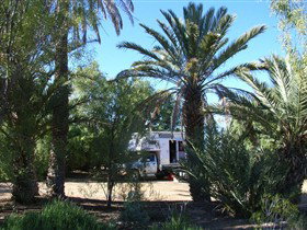 Coward Springs Campground - Tourism Adelaide 0