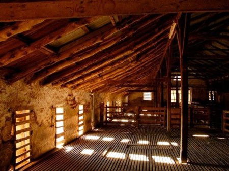 Bungaree Station - Tourism Adelaide 3