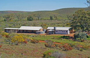 Moolooloo Station - Tourism Adelaide 4