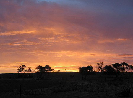 Willangi Bush Escapes - Tourism Adelaide 1