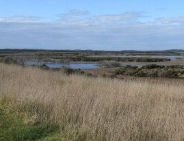 Wulde Waiirri - Tourism Adelaide 1