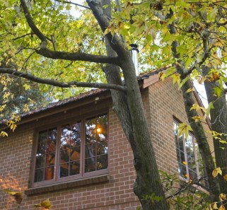 Crafers Cottages - Cherrytree Cottage - Tourism Adelaide 4