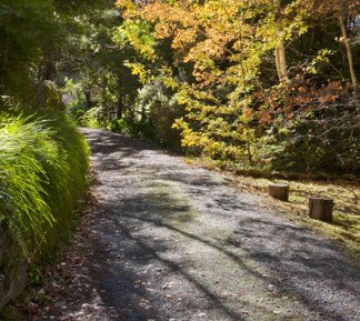 Crafers Cottages - Cherrytree Cottage - Tourism Adelaide 5