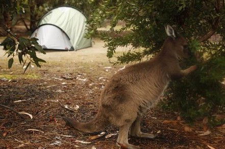 Western KI Caravan Park Cabins - Tourism Adelaide 2