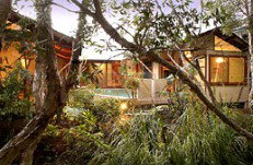 Absolute Karuna - Tourism Adelaide 5