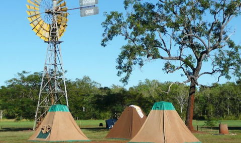 Litchfield Tourist Park - Tourism Adelaide 2
