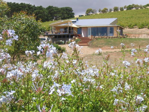 The Blue Grape Vineyard Accommodation - Tourism Adelaide 0