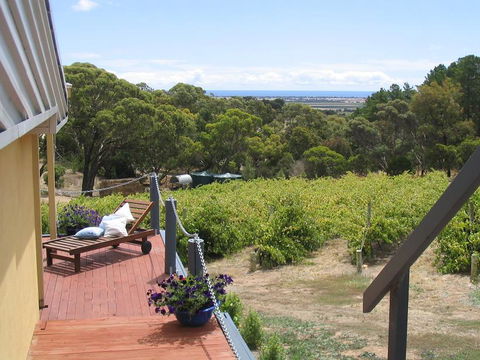 The Blue Grape Vineyard Accommodation - Tourism Adelaide 1