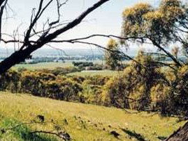 Smith's Farm Stay - Tourism Adelaide 1