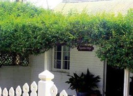 Peppertree Cottage Bed And Breakfast - Normanville - Tourism Adelaide 1