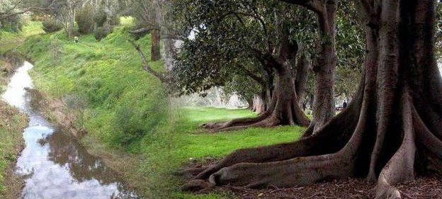 Gawler SA Tourism Adelaide